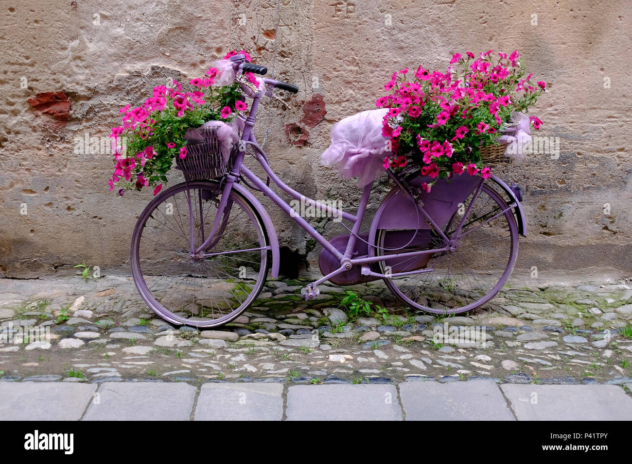 Flower bike in Finalborgo, Italy Stock Photo - Alamy