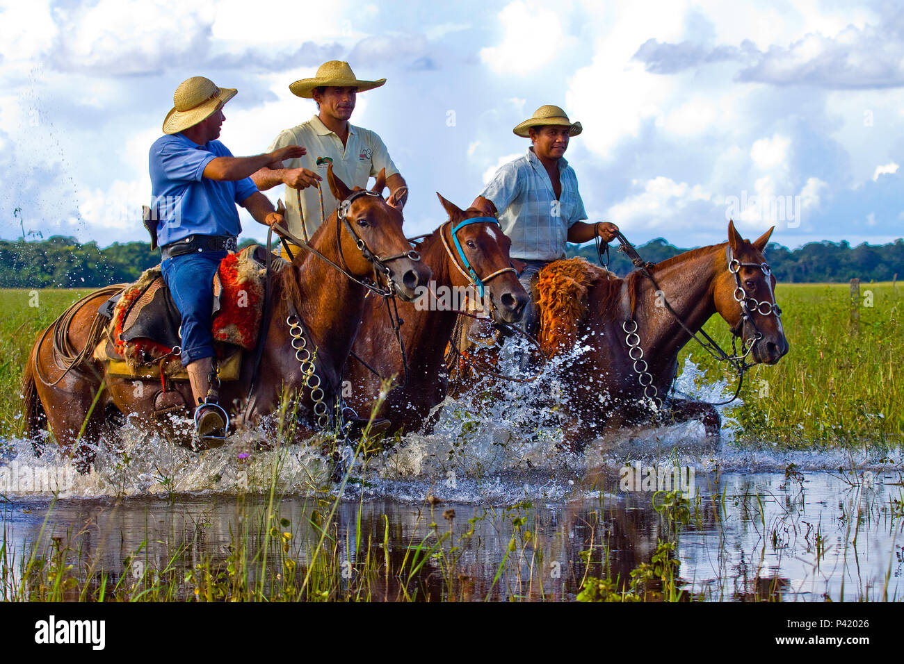 Vestimenta do peao pantaneiro hi-res stock photography and images - Alamy