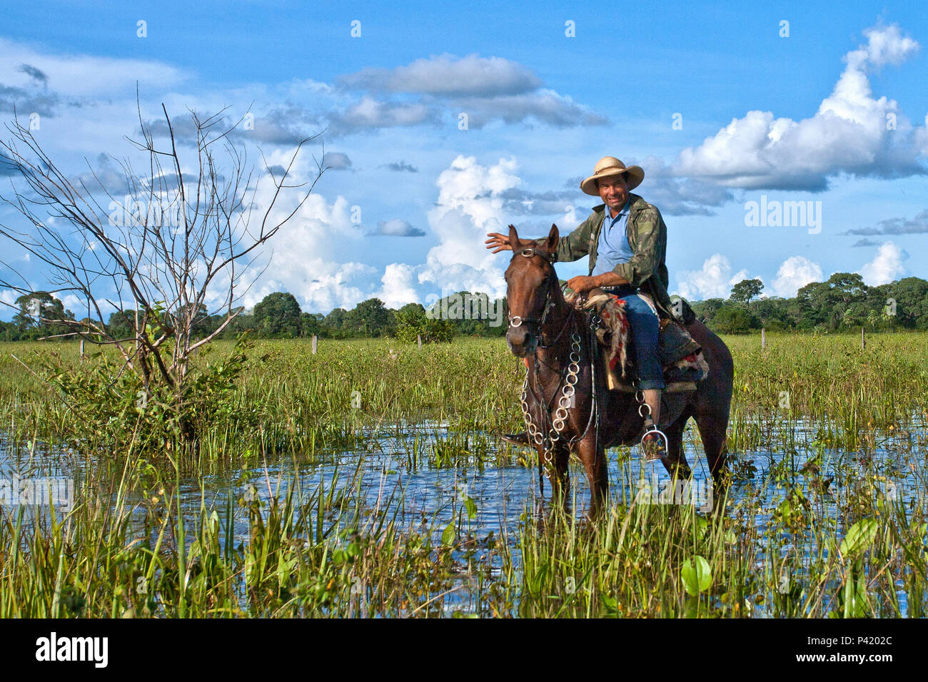 fazenda hi-res stock photography and images Alamy