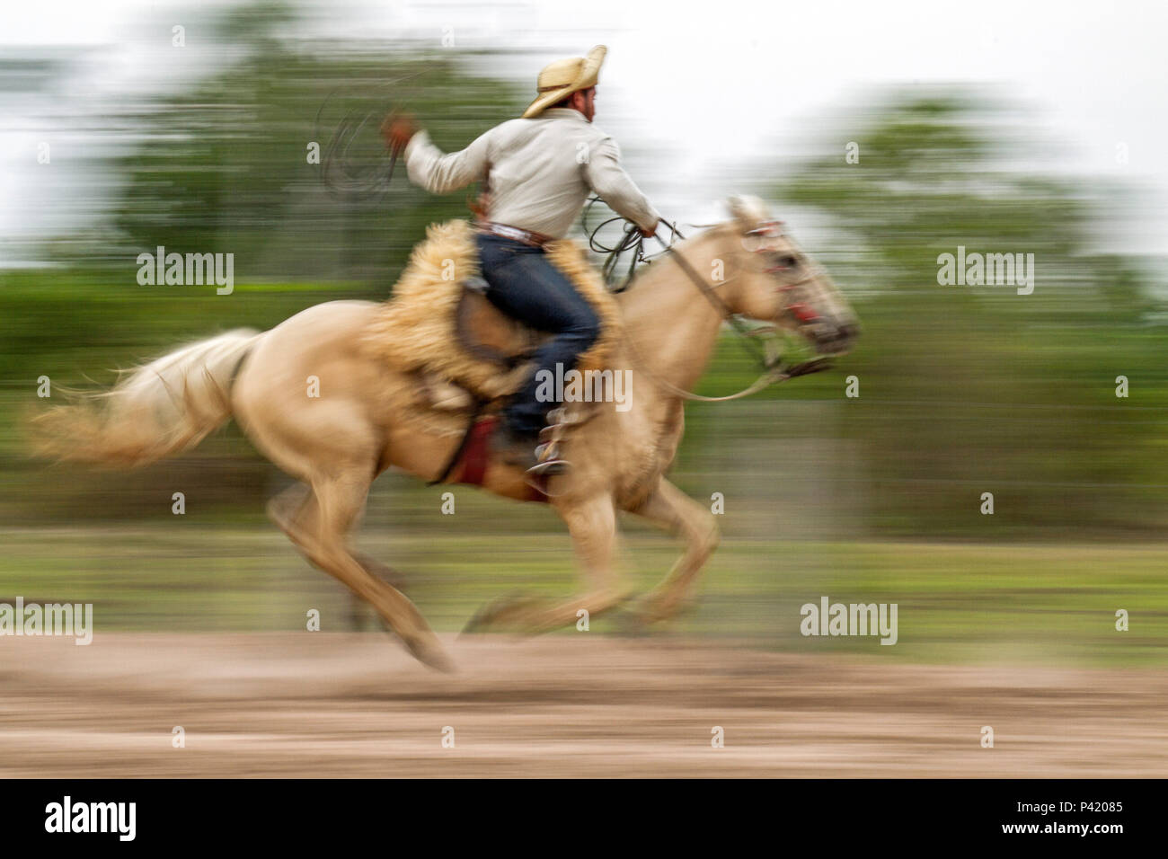 Vestimenta do peao pantaneiro hi-res stock photography and images - Alamy