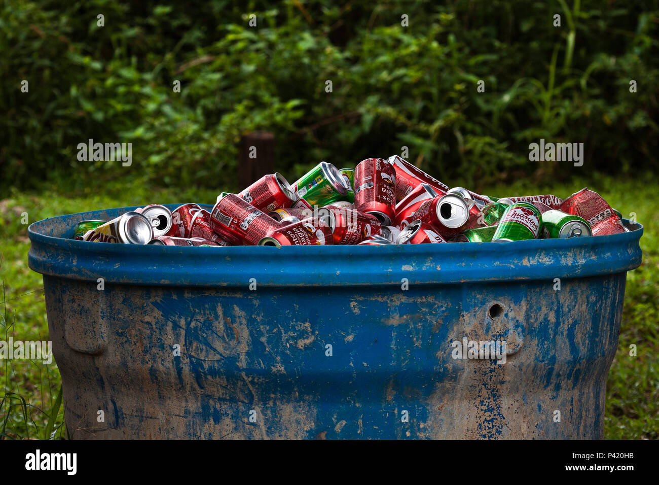 Aquidauana-MS Data 14/03/2011 Coleta seletiva de Latas Latas de refrigerantes ecerveja separação de material reciclável lixo reciclável Stock Photo