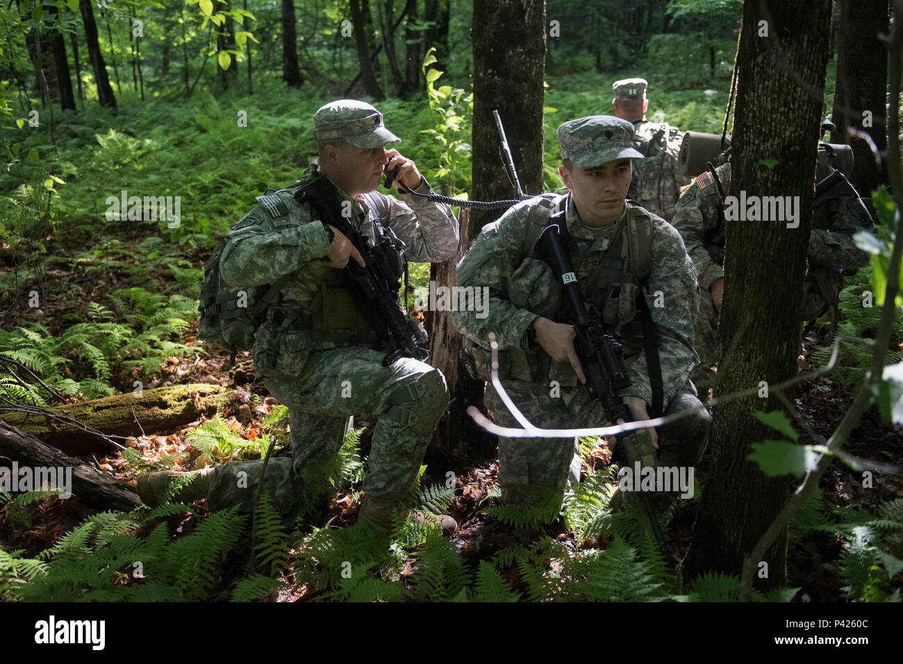 U.S. Army Sgt. Graham Skinner, a scout with Headquarters, Headquarters Company, 3rd Battalion, 172nd Infantry Regiment (Mountain), Vermont National Guard, relays information to headquarters during a reconnaissance training mission, Camp Ethan Allen Training Site, Jericho, Vt., June 6, 2016. Skinner’s company is participating in multiple training events over the next two weeks as part of their annual training. (U.S. Air National Guard photo by Tech. Sgt. Sarah Mattison/Released) Stock Photo
