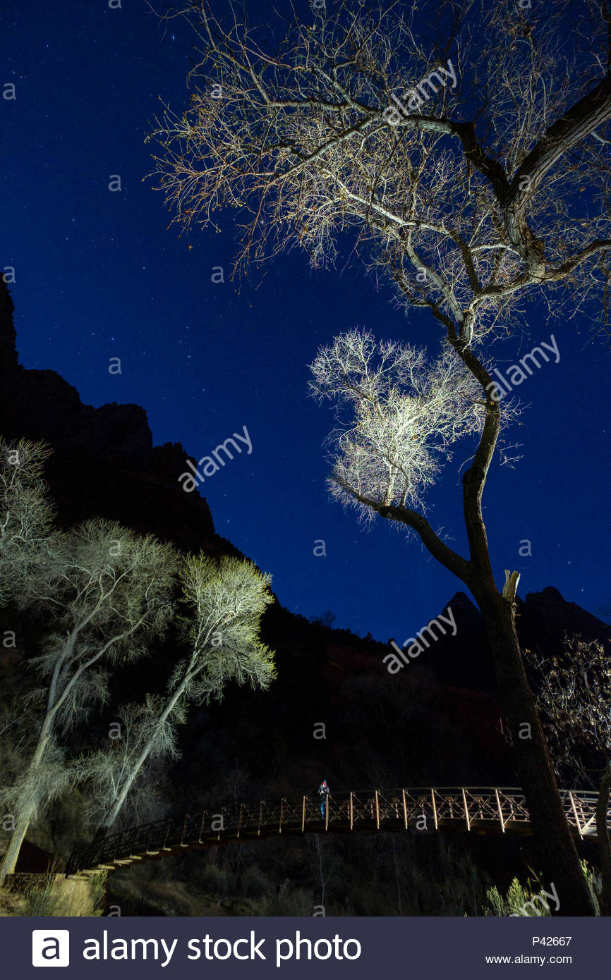 starry-night-sky-above-footbridge-in-zion-canyon-zion-national-park-washington-county-utah-usa-P42667.jpg