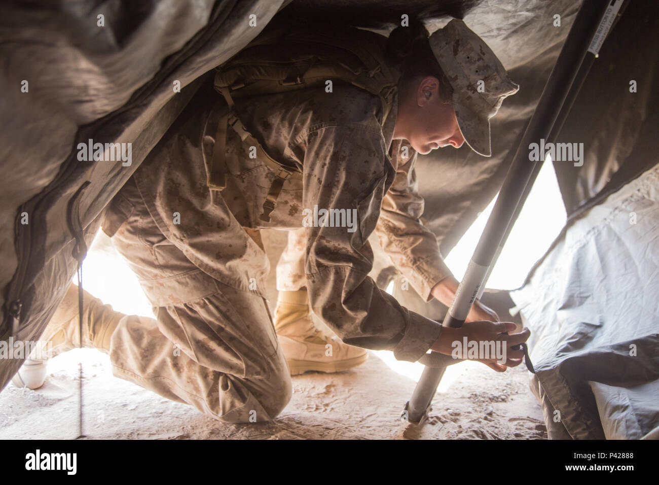Lance Cpl. Shelbi Lindsey clips the lining of a 305 tent onto tent poles during set up for the 11th Marine Expeditionary Unit’s Realistic Urban Training exercise aboard Marine Corps Air Station Yuma, Ariz., June 6, 2016. RUT will prepare the 11th MEU’s Marines and sailors for their upcoming deployment, enhancing their combat skills in a simulated urban environment. Lance Cpl. Shelbi Lindsey is with the law enforcement attachment to the 11th Marine Expeditionary Unit. (U.S Marine Corps photo by Lance Cpl. Brandon Maldonado/ Released) Stock Photo