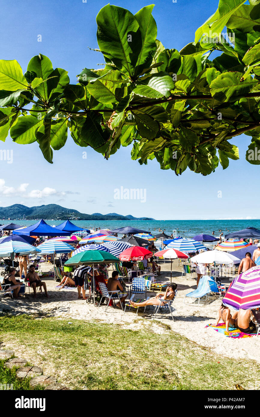 Meia Praia na temporada de verão. Itapema, Santa Catarina, Brasil Stock  Photo - Alamy