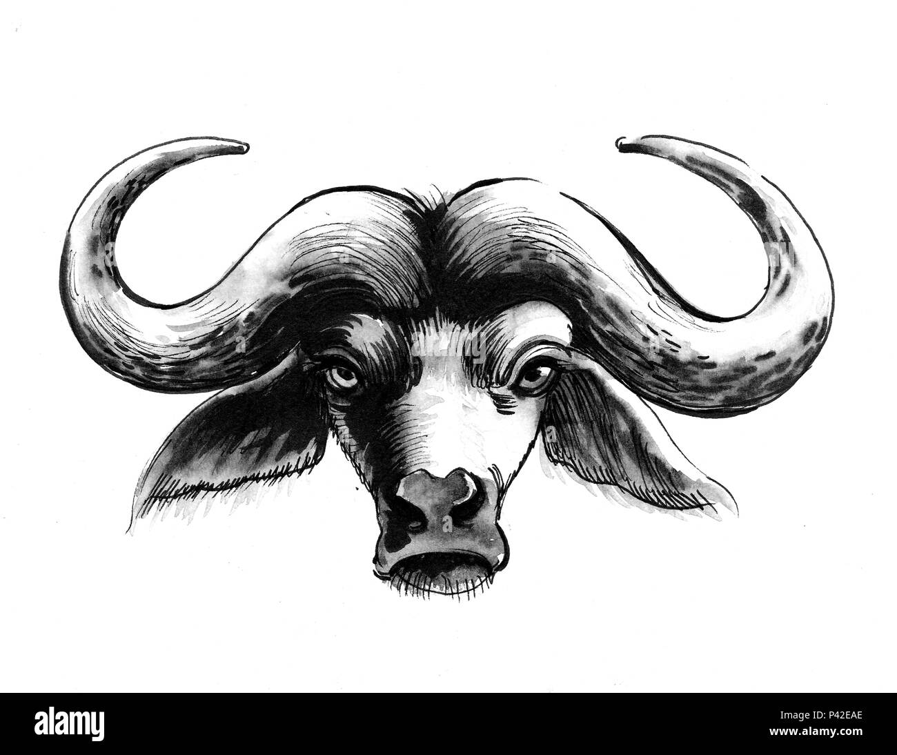 Bull head clip art vectors free download 24,039 editable .ai .eps .svg .cdr  files