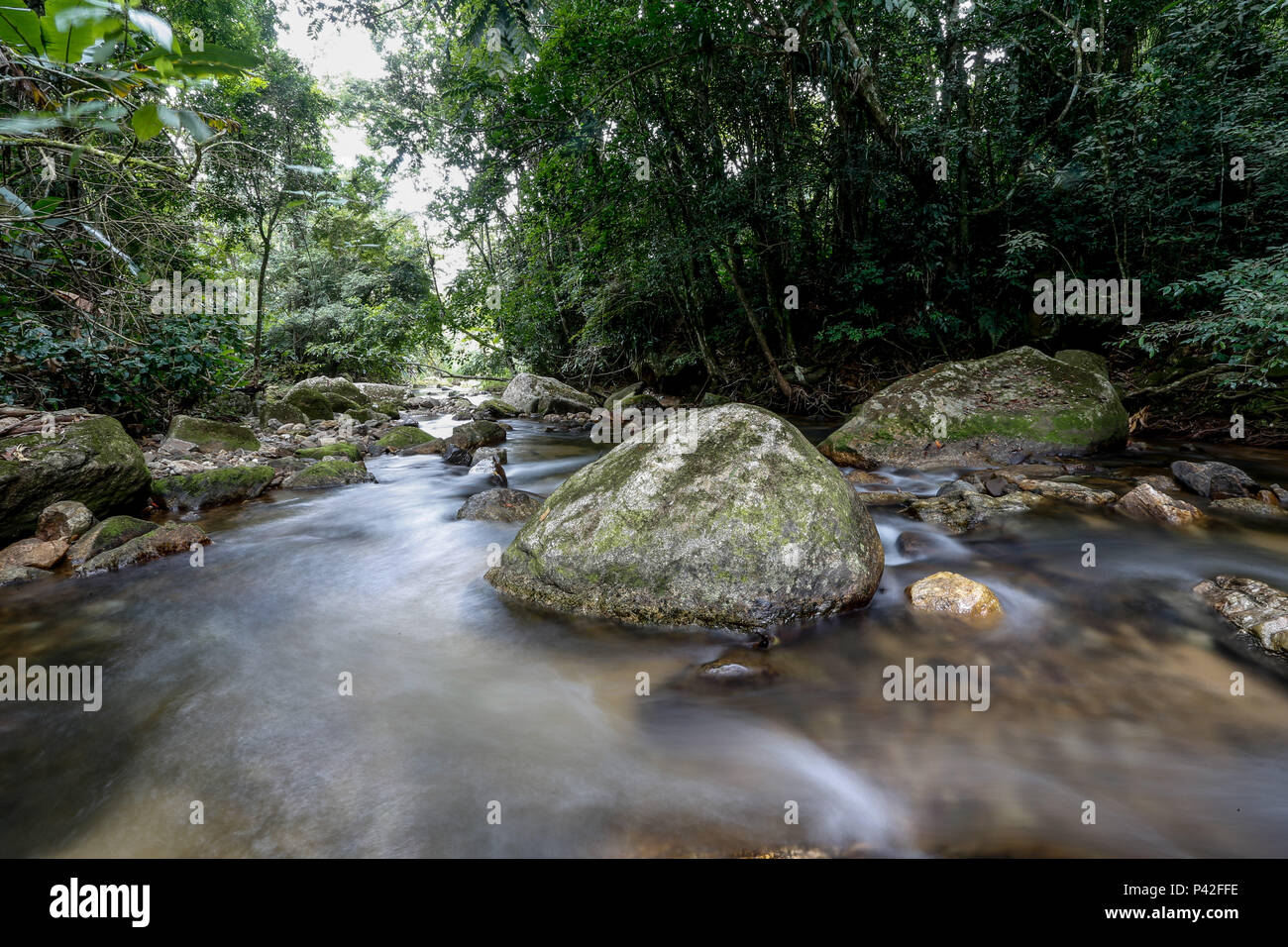 Cachoeira do Parque Estadual do Rio Turvo - NÃºcleo Capelinha. Foto ...