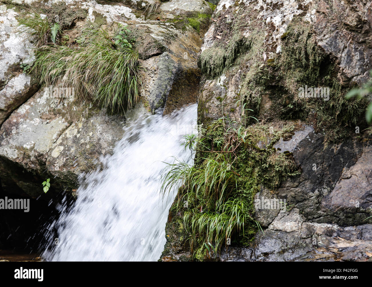 Cachoeira do Parque Estadual do Rio Turvo - NÃºcleo Capelinha. Foto ...