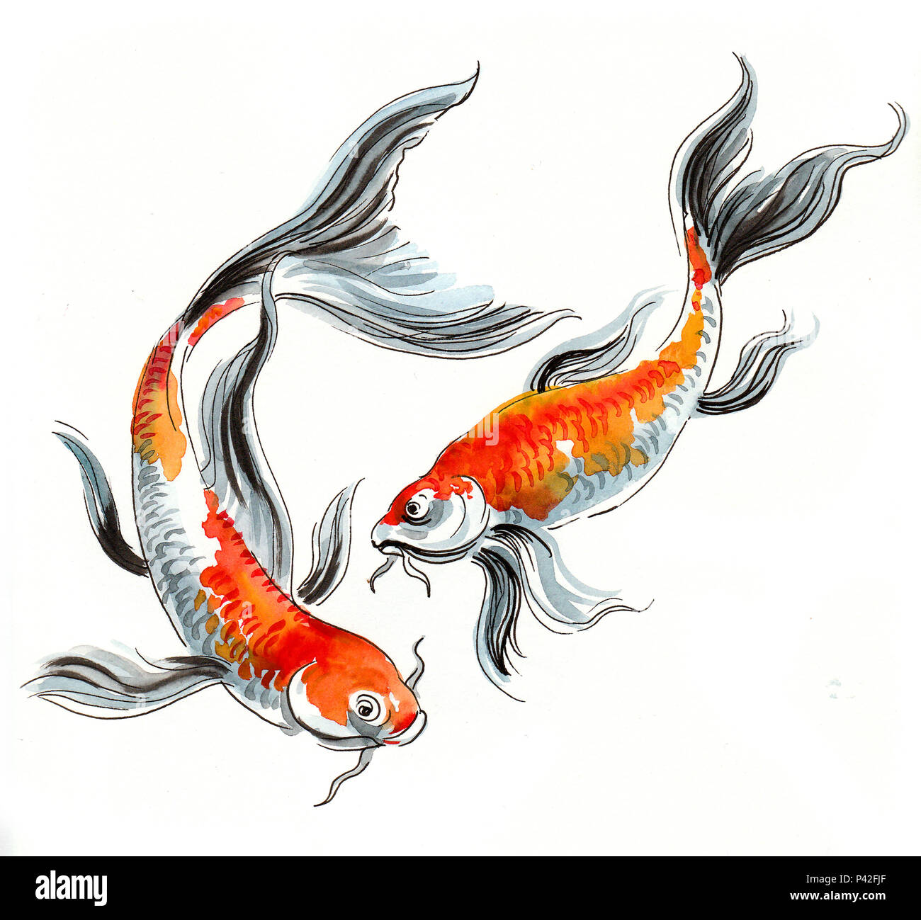 A Pair Of Koi Fishes Watercolor Sketch Stock Photo 209039223 Alamy