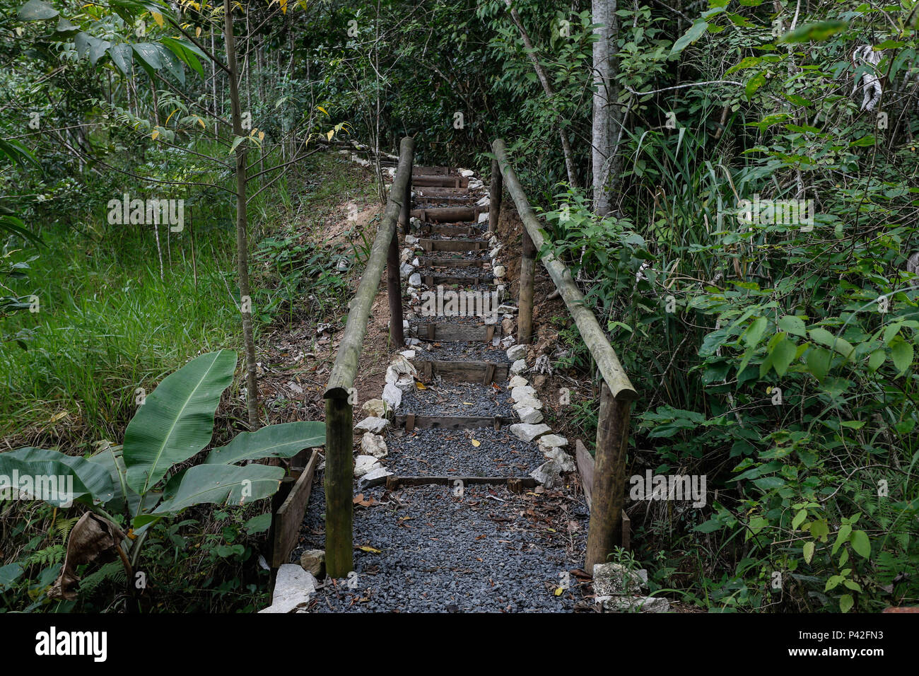 Trilha do Parque Estadual do Rio Turvo - NÃºcleo Capelinha. Foto ...