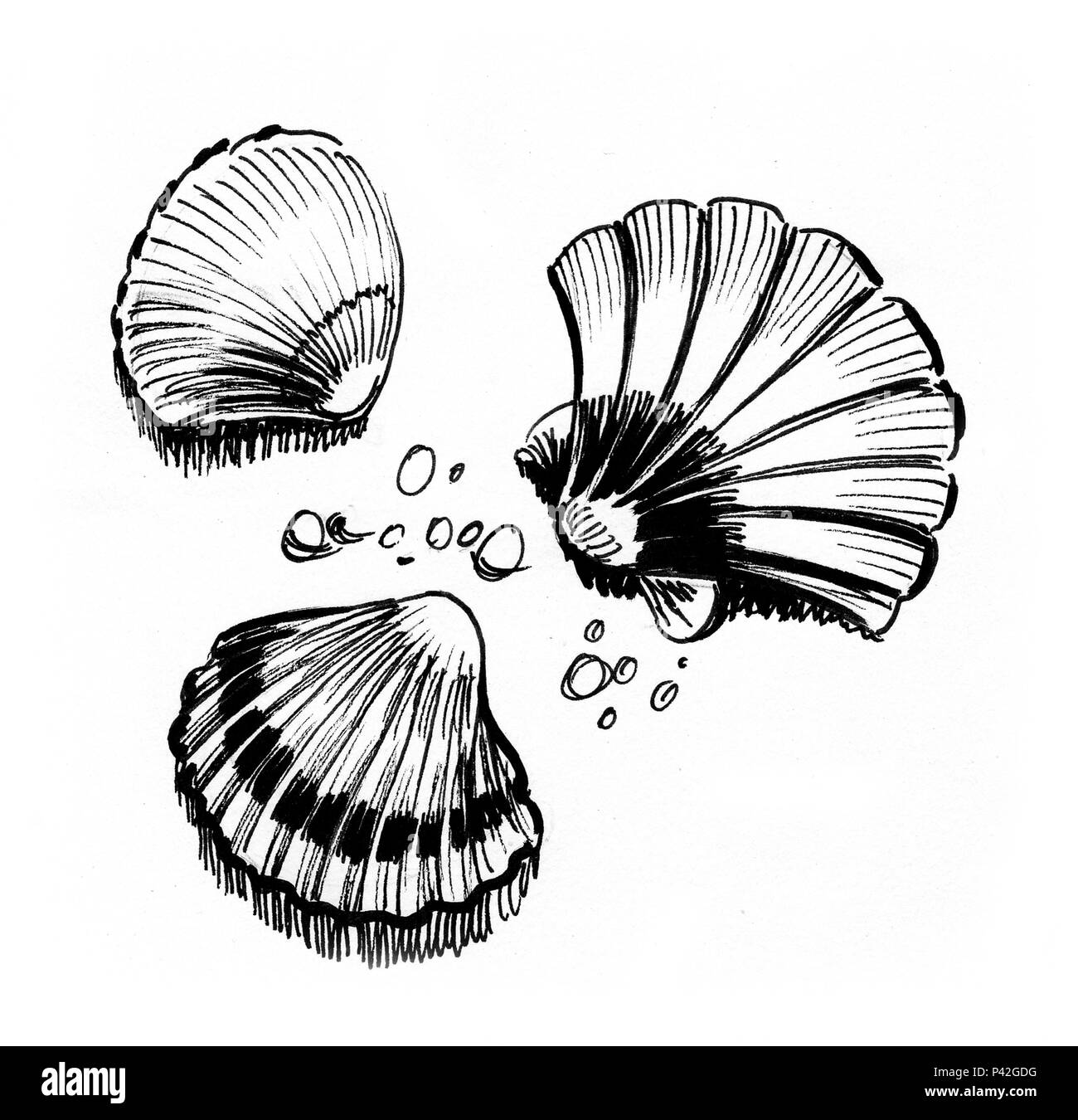 My Image 23