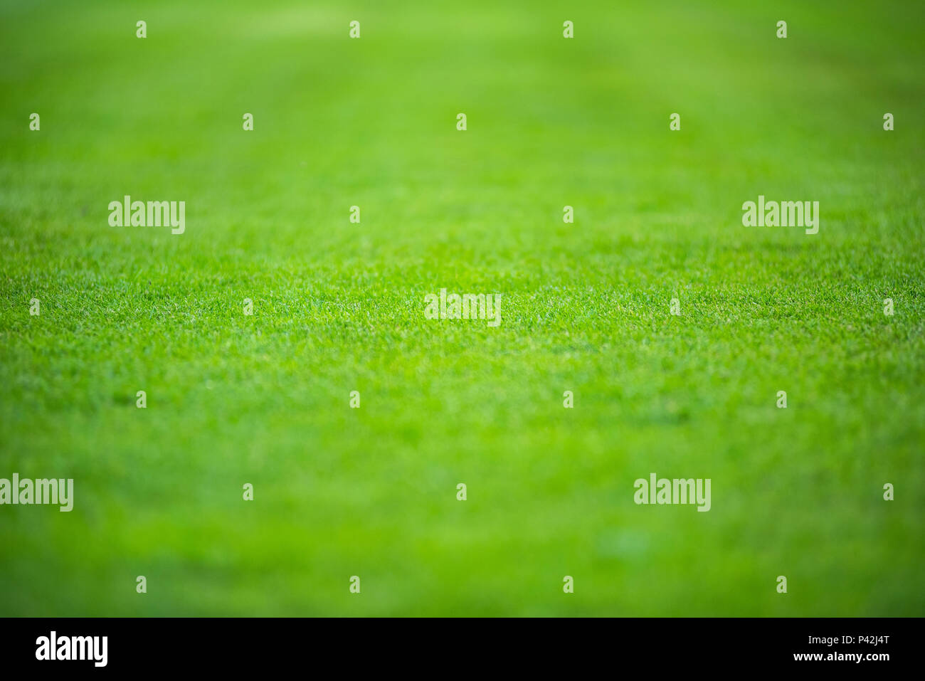Clean empty football grass field. Green grass seamless texture on soccer pitch Stock Photo