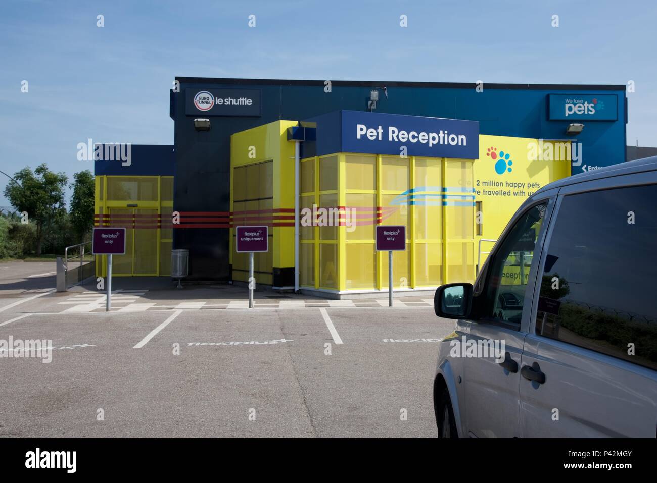 Can Dogs Travel On Eurotunnel