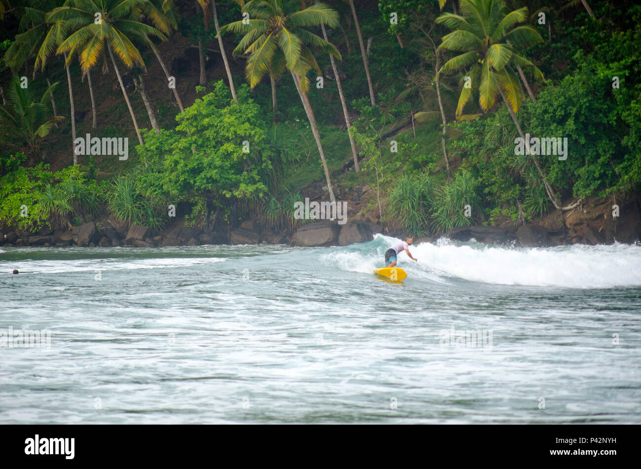 Surfing in Mirissa, Sri Lanka Stock Photo