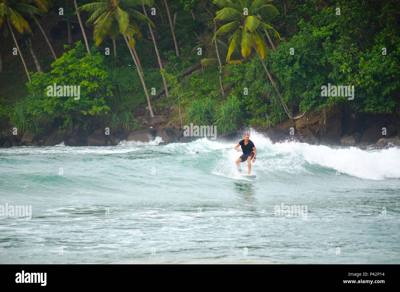 Surfing in Mirissa, Sri Lanka Stock Photo Alamy