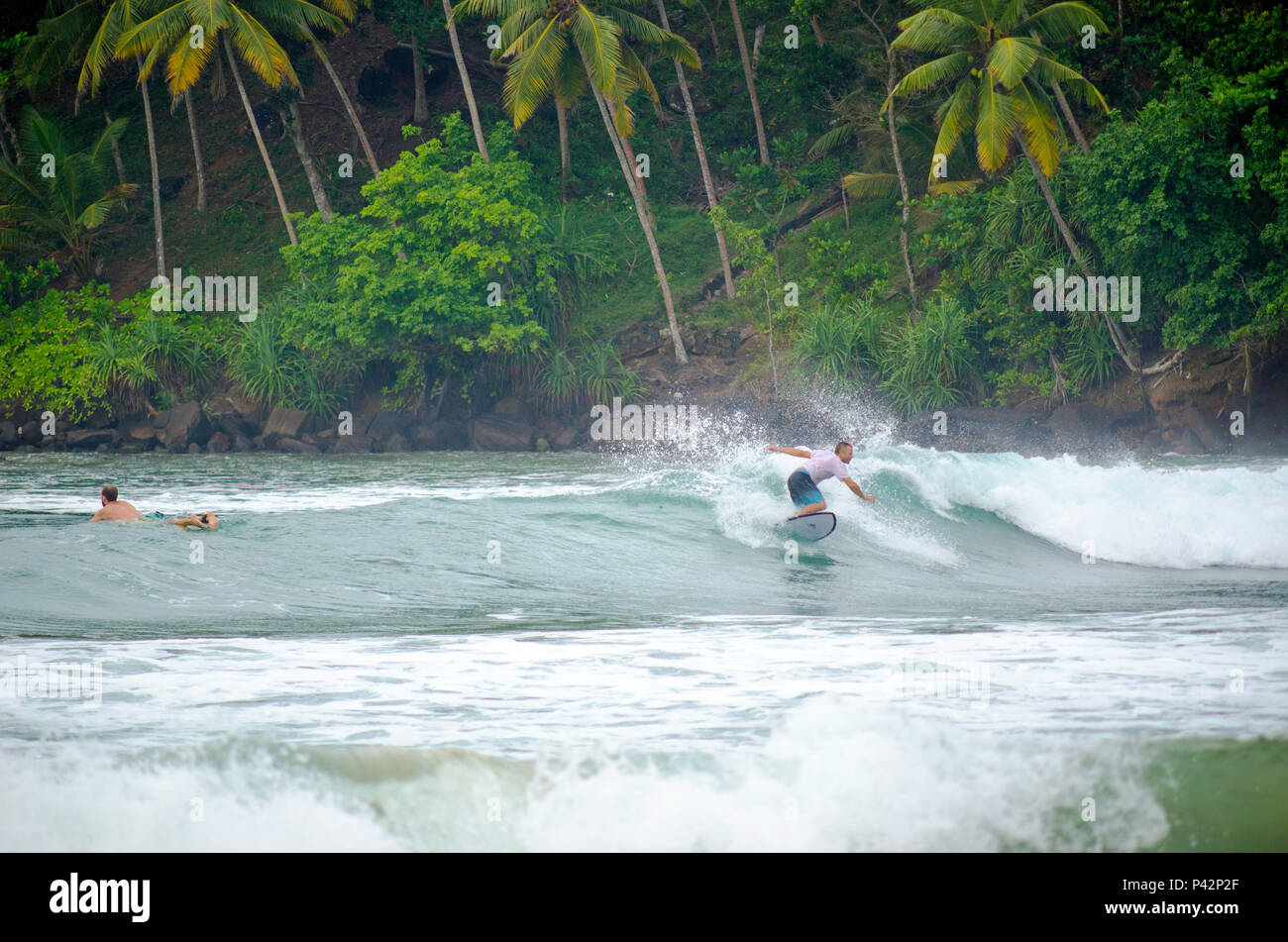 Surfing In Mirissa Sri Lanka Stock Photo 209044263 Alamy
