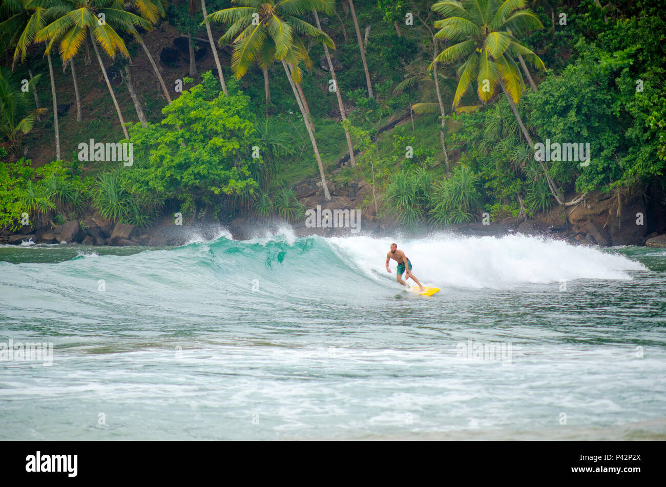 Surfing in Mirissa, Sri Lanka Stock Photo Alamy