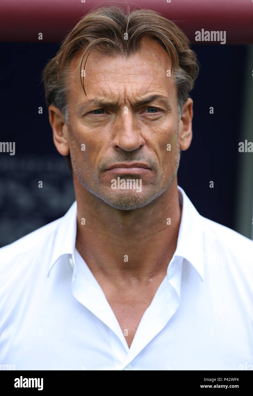 Herve renard hi-res stock photography and images - Alamy