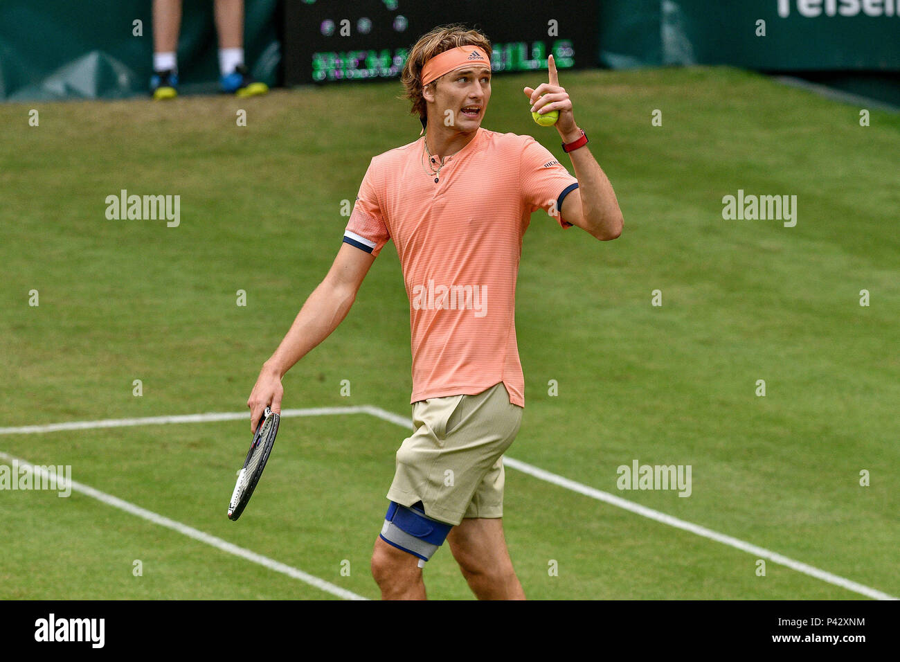 Halle, Germany. 20 June 2018 Gerry Weber Stadium, Halle/Westphalia, GER, ATP World Tour 500 Event, 26th Gerry Weber Open 2018 from 18.-24. June, Alexander Zverev (GER) smashes the ball to a spectator and comments on the referee photo © nordphoto/Mauelshagen | usage worldwide Credit: dpa/Alamy Live News Stock Photo