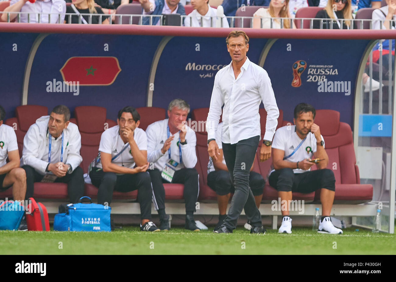 Herve renard hi-res stock photography and images - Page 4 - Alamy