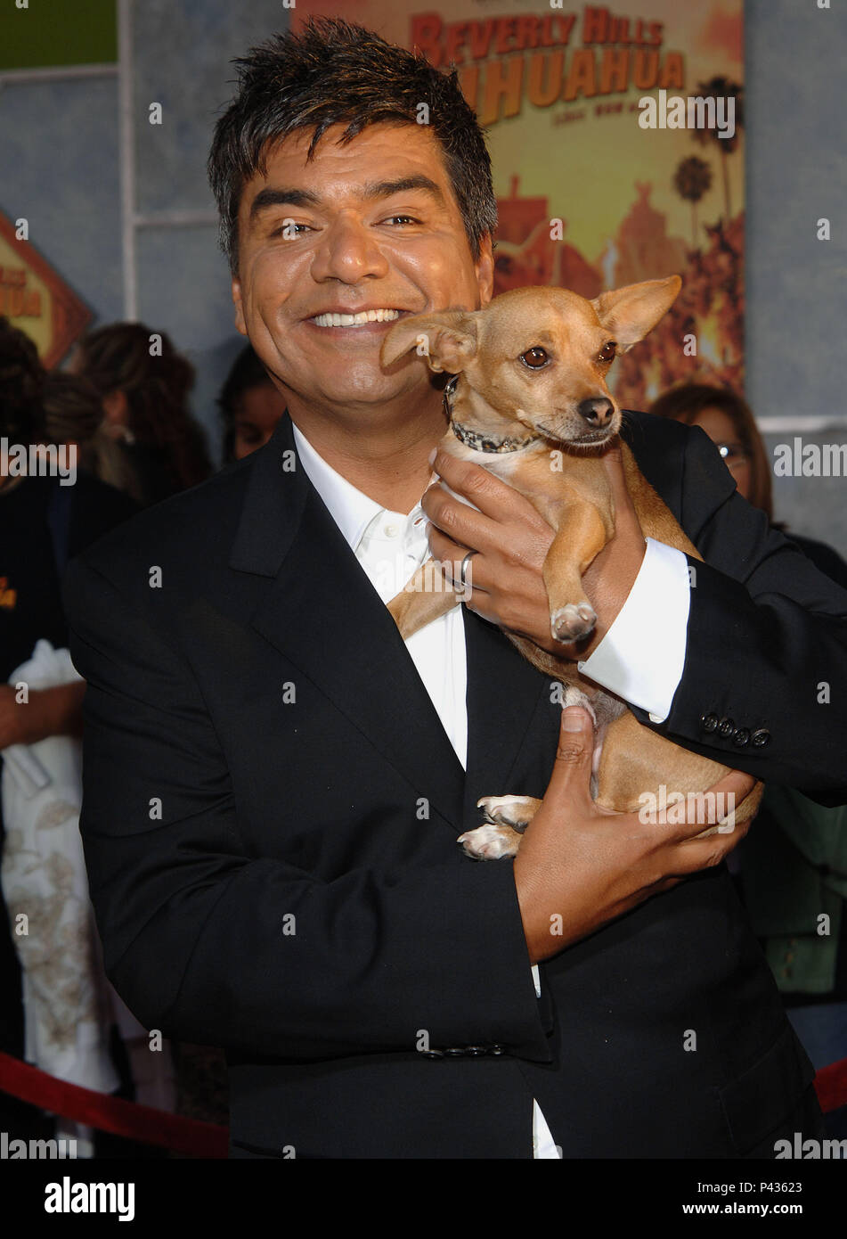 George Lopez Posing The Chihuahua Beverly Hills Chihuahua Premiere At The El Capitan Theatre In Los Angeles Posing With The Chihuahua Three Quarters Smile 03 Lopezgeorge 03 Jpg03 Lopezgeorge 03 Event - beverly hills chihuahuas chihuahua full song roblox id