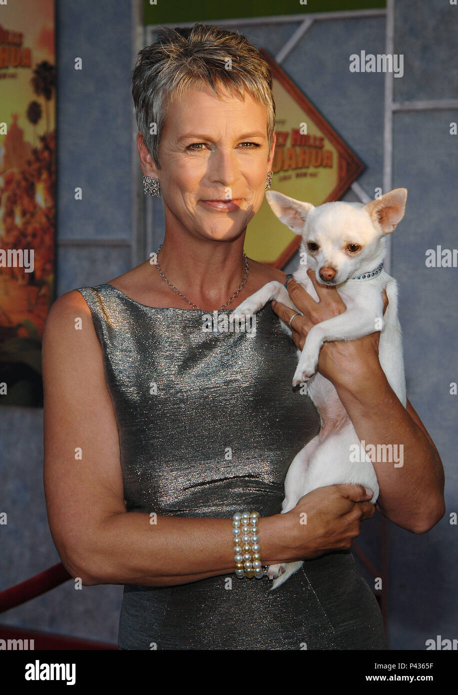 Jamie Lee Curtis posing the chihuahua - Beverly Hills Chihuahua Premiere at  the El Capitan Theatre in Los Angeles. posing with the chihuahua three  quarters smile eye contact - 06 CurtisJamieLee 06.jpg06