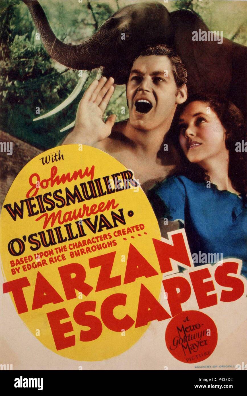 Original Film Title: TARZAN ESCAPES!.  English Title: TARZAN: TARZAN ESCAPES!.  Film Director: RICHARD THORPE.  Year: 1936. Credit: M.G.M. / Album Stock Photo