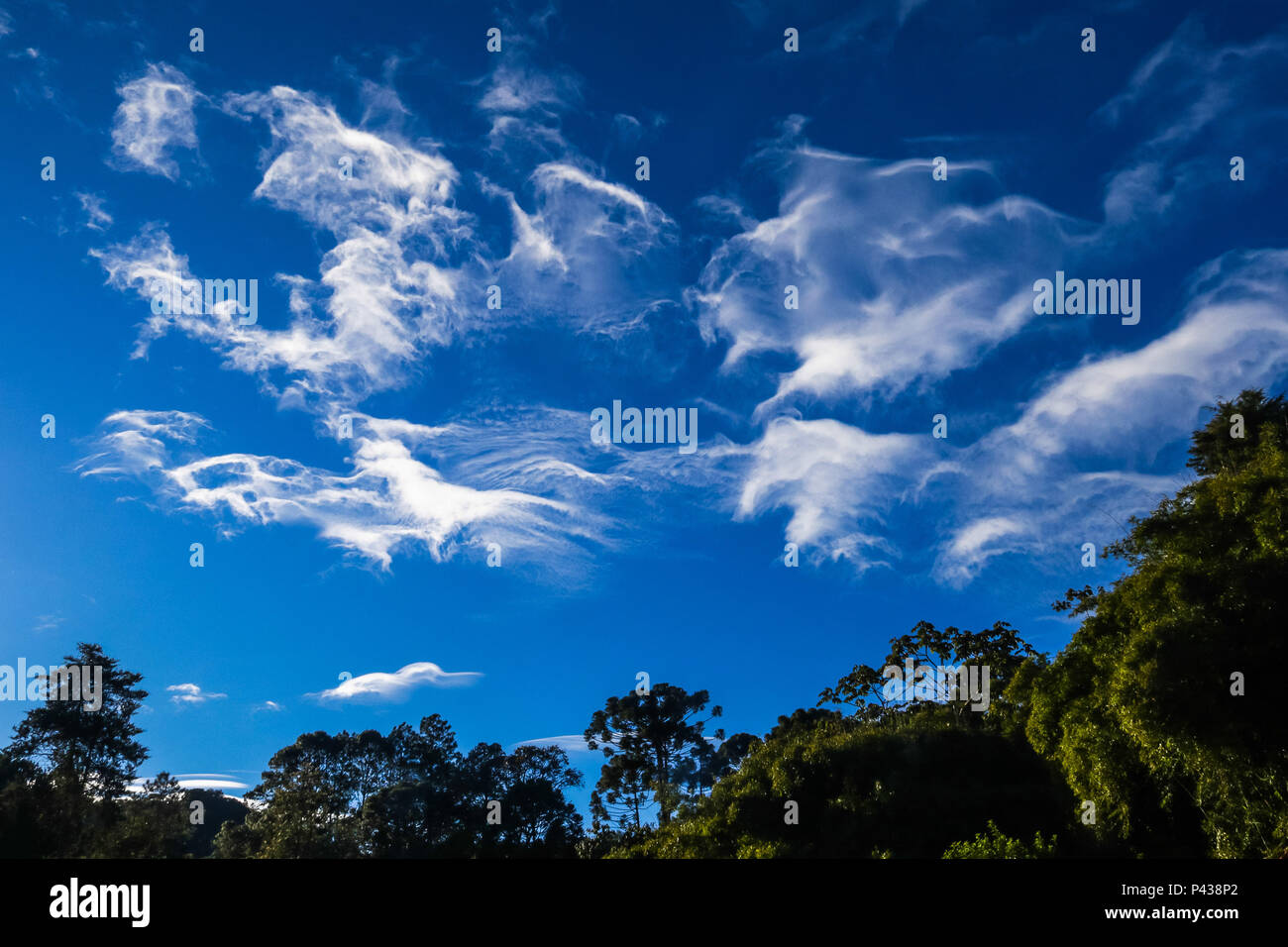 Nuvens cirrus vista na cidade de Visconde de Mauá, SP. São nuvens altas com brilho sedoso, isoladas e formadas por cristais de gelo parecendo convergir para o horizonte. Podem se formar da evolução da bigorna da cumulusnimbus. Stock Photo