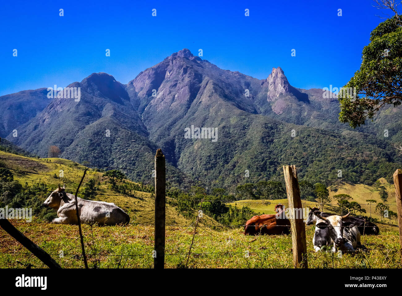 Vista do Pico dos Marins, em Piquete, SP, na Serra da Mantiqueira. Seu cume  tem 2470 metros Stock Photo - Alamy