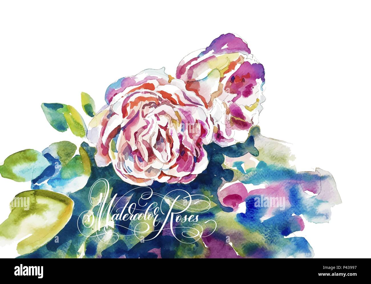 original watercolor painting of pink roses Stock Vector Image & Art - Alamy