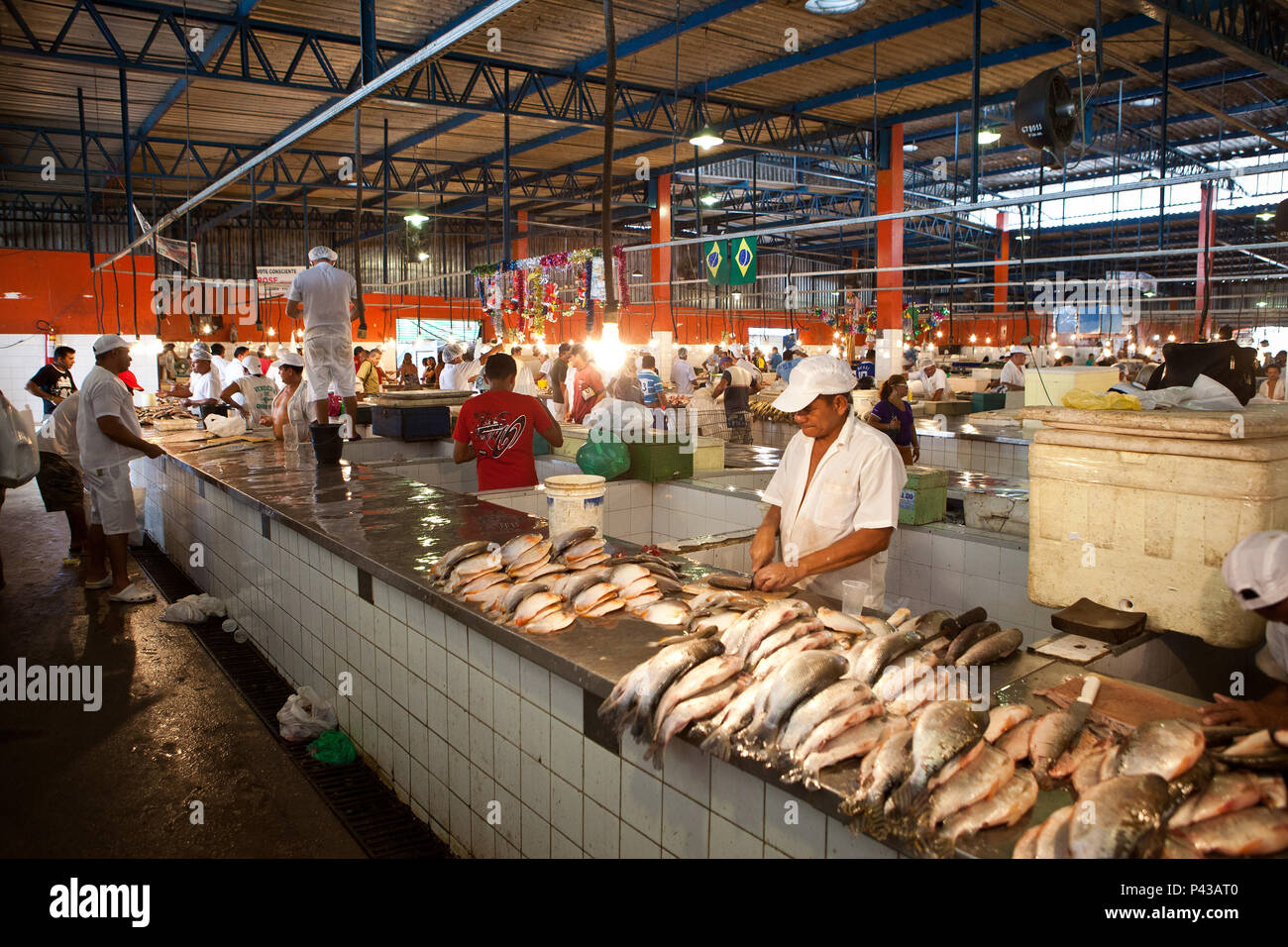 Mercado municipal na regi‹o do porto de manaus. Regi‹o central de manaus. Mercado de peixe. Cena do dia em Manaus. Manaus/AM, Brasil - 04/01/2012. Foto: Bruno Zanardo / Fotoarena Stock Photo