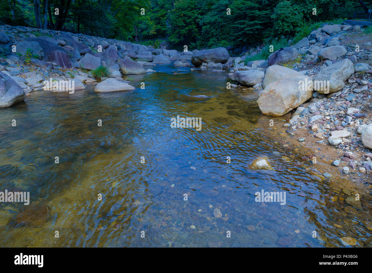 river in the Japanese forest Stock Photo - Alamy