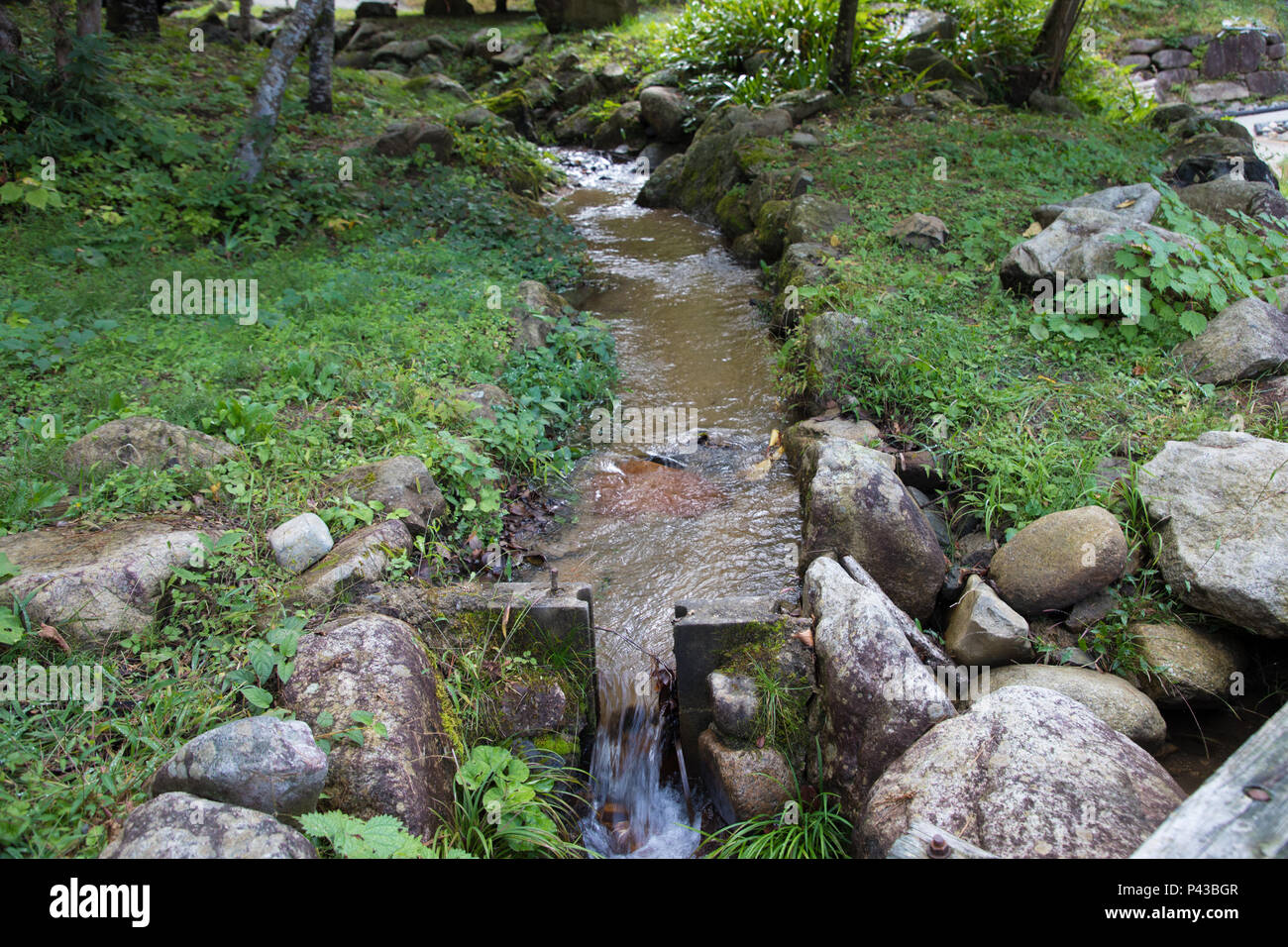 river in the Japanese forest Stock Photo - Alamy