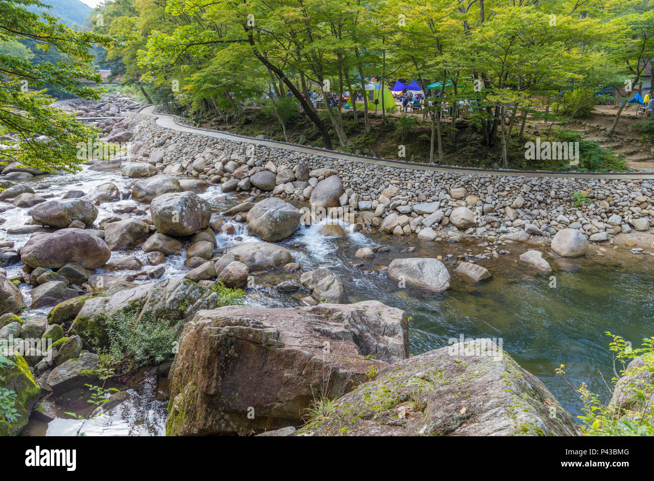 river in the Japanese forest Stock Photo - Alamy