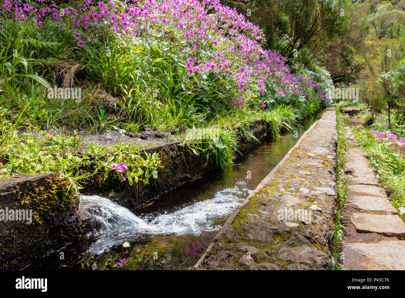 Rabaçal madeira hi-res stock photography and images - Alamy