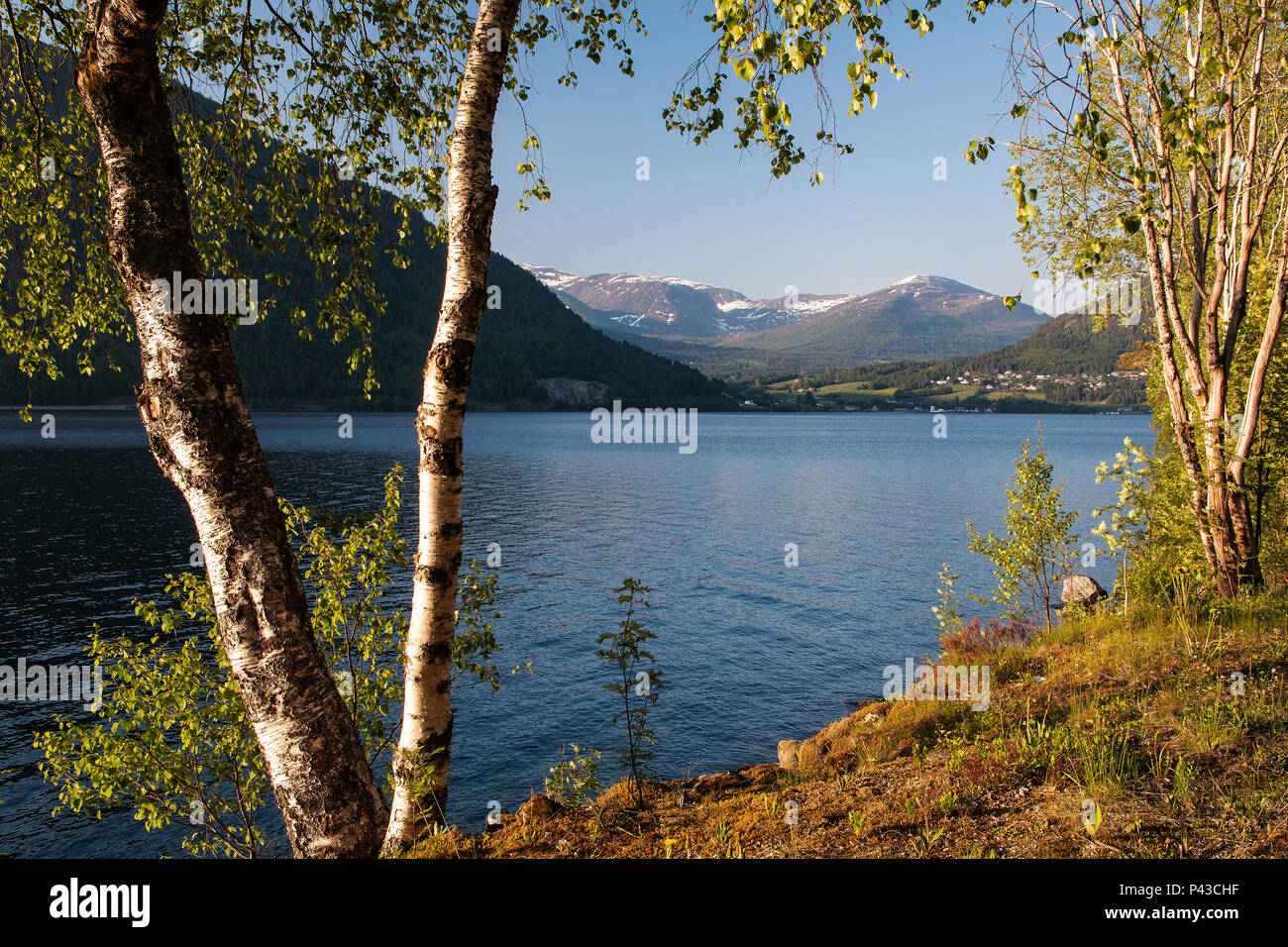 View of lake Hornindalsvatnet the deepest (514m) lake in Europe and the village of Grodås were central functions are located in Hornindal Stock Photo