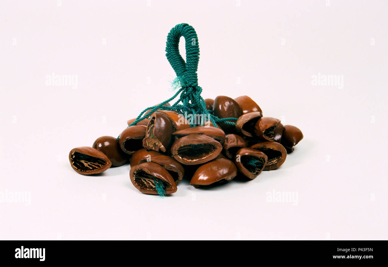 ju ju bean shaker Stock Photo Alamy