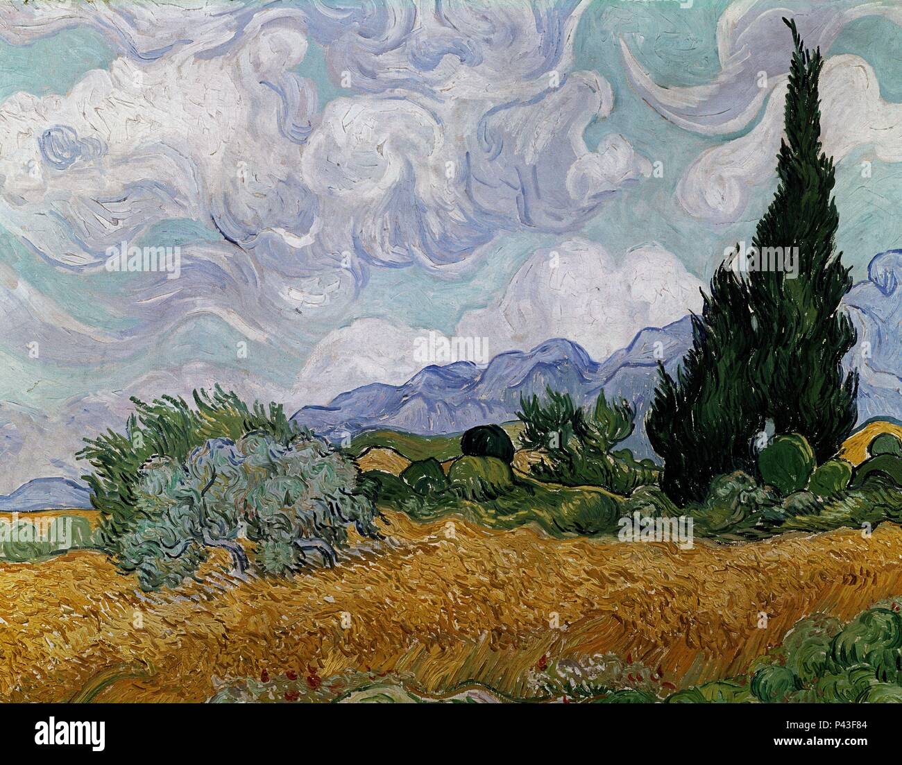Wheatfield with Cypresses - 1889 - 72,5x91,5 cm - oil on canvas. Author: Vincent van Gogh (1853-1890). Location: NATIONAL GALLERY, LONDON, ENGLAND. Also known as: TRIGAL CON CIPRESES. Stock Photo