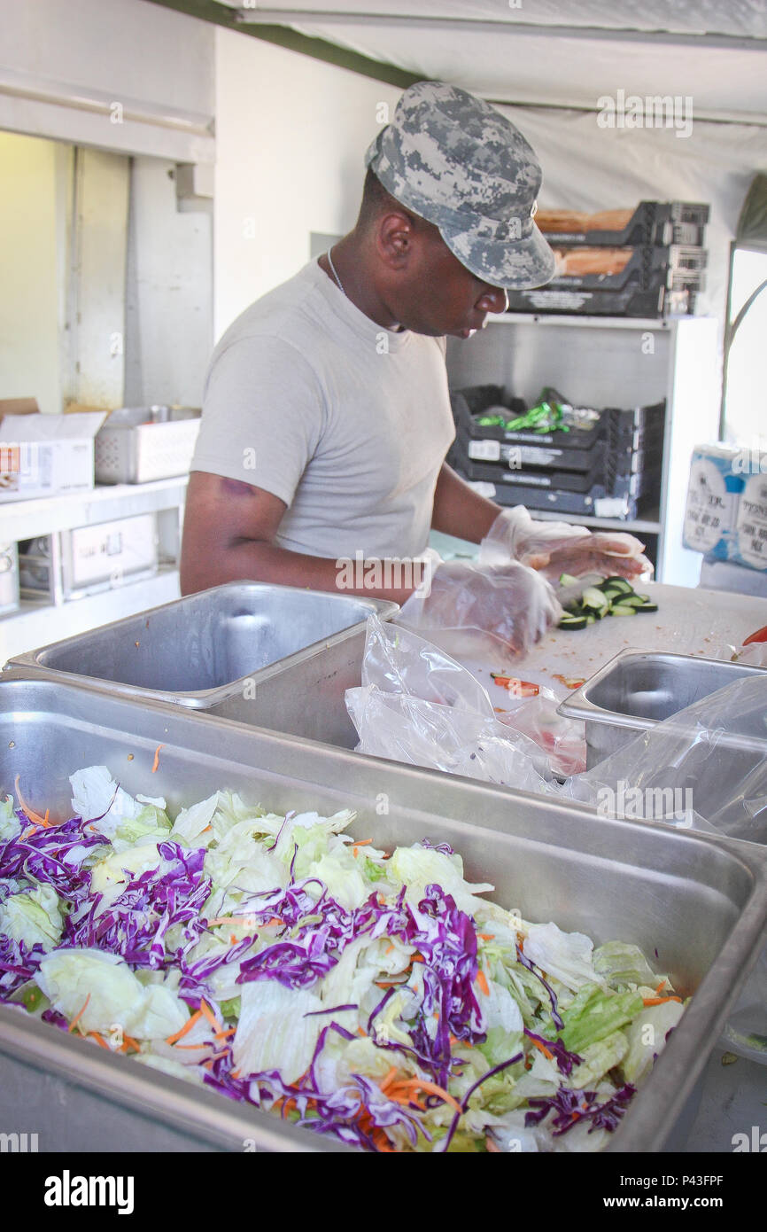 Cooks from the Special Troops Battalion, 155th Armored Brigade Combat Team, prepare field chow for 3,000 Soldiers who are participating in the Multi-echelon Integrated Brigade Training (MiBT) exercise. This night the cooks prepared tacos, salad, corn and a black bean rice. The meal was served with red velvet cake, Famous Amos cookies, and juice. A hot dinner chow is just what the Soldiers needed after a day of mission sets. (Mississippi National Guard photo by 1st Lt. Jennifer Corley, 155th Armored Brigade Combat Team/Released) Stock Photo