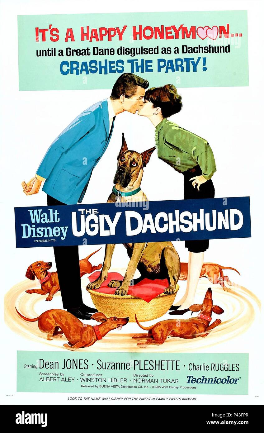 Original Film Title: THE UGLY DACHSHUND.  English Title: THE UGLY DACHSHUND.  Film Director: NORMAN TOKAR.  Year: 1966. Credit: WALT DISNEY PRODUCTIONS / Album Stock Photo