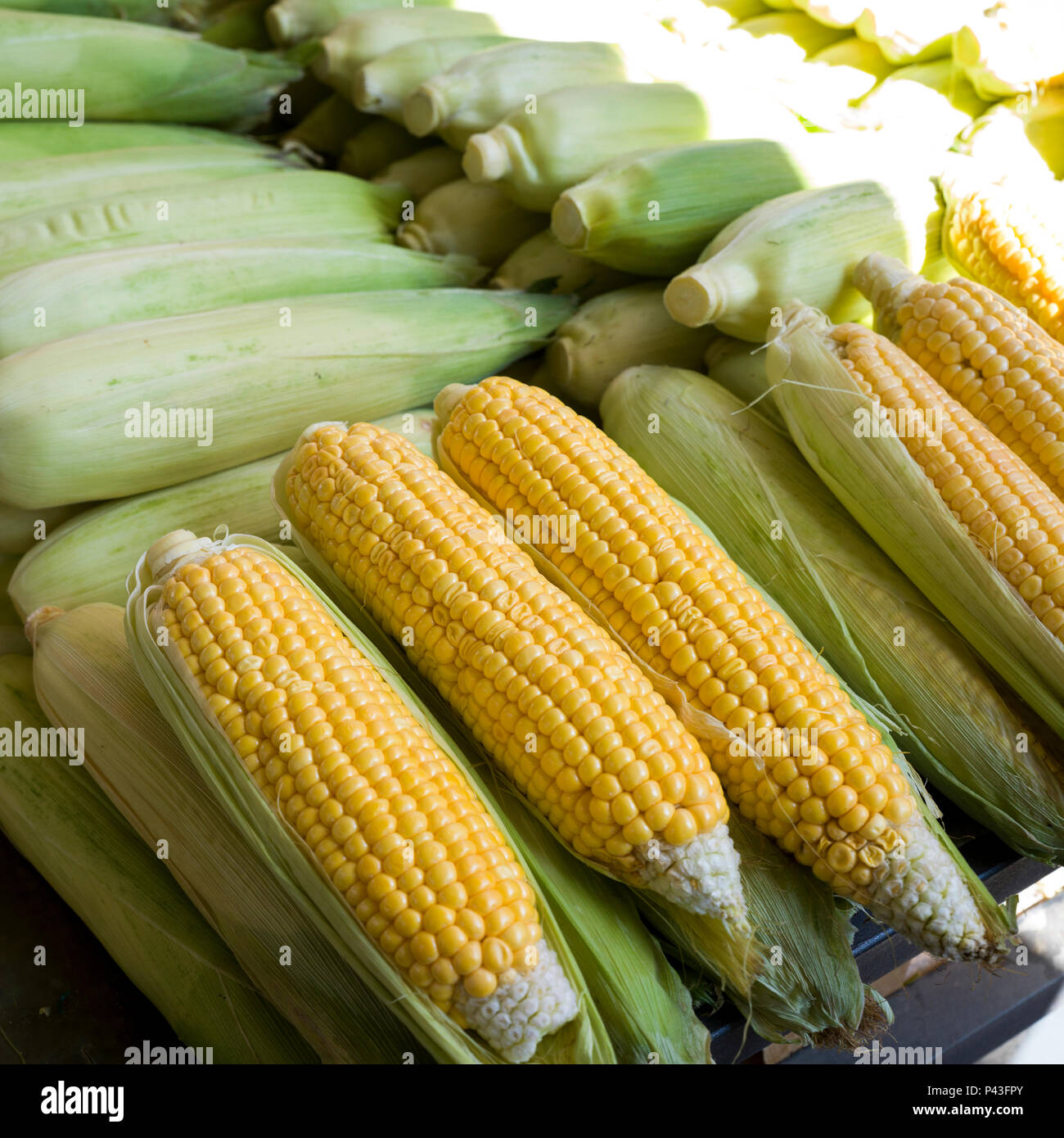 Corn husk stack hi-res stock photography and images - Alamy