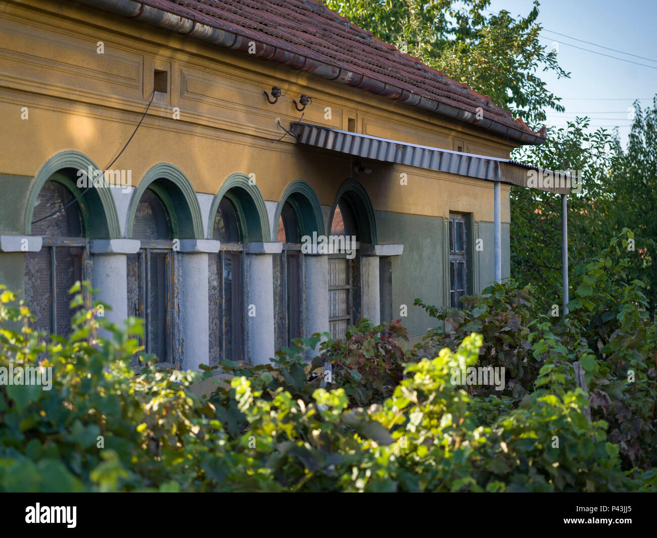 Shrubs outside a house, Kladovo, Bor District, Serbia Stock Photo Alamy
