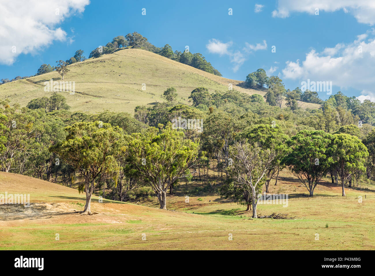 View of the countryside in the Upper Hunter Valley, NSW, Australia