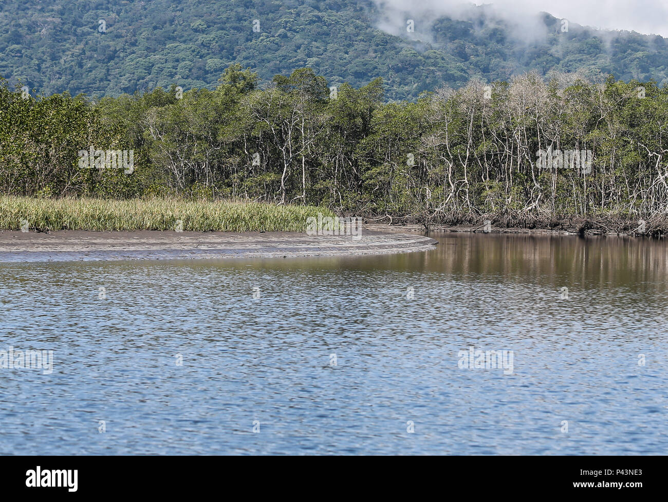 21082013  Rio Guaratuba, que se junta com o mar na praia de