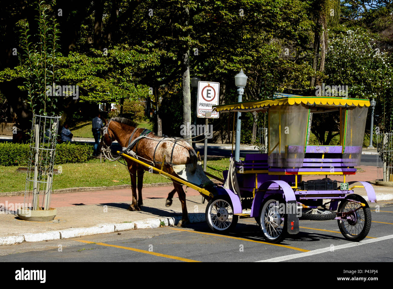 Charrete para levar turistas para passear em frente ao EspaÃ§o Cultural da UIrca. PoÃ§os de Caldas/MG, Brasil 25/08/2013. Foto: Alexandre Carvalho / Fotoarena Stock Photo