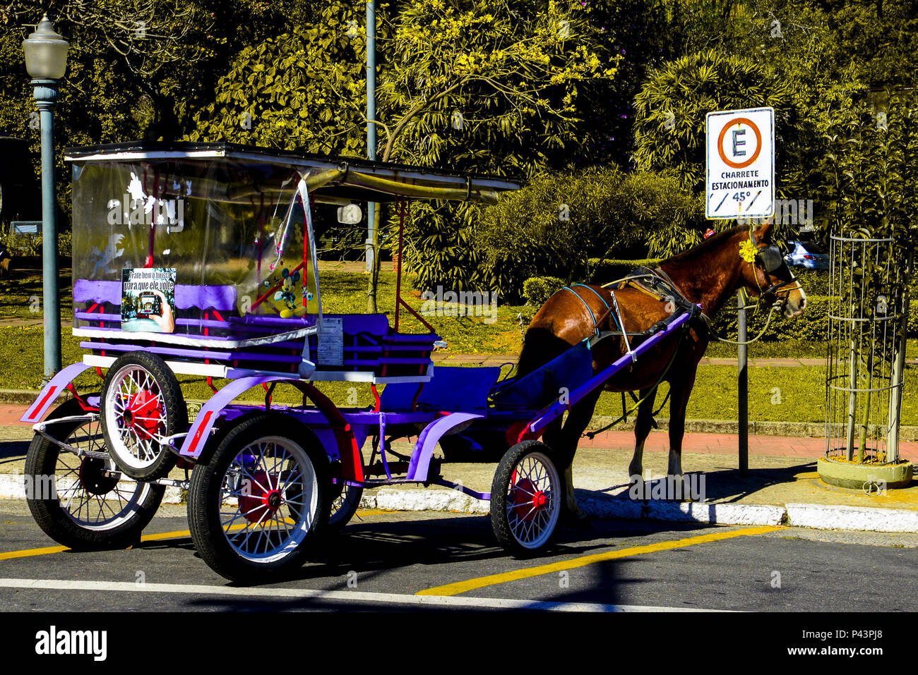 Charrete para levar turistas para passear em frente ao EspaÃ§o Cultural da UIrca. PoÃ§os de Caldas/MG, Brasil 25/08/2013. Foto: Alexandre Carvalho / Fotoarena Stock Photo