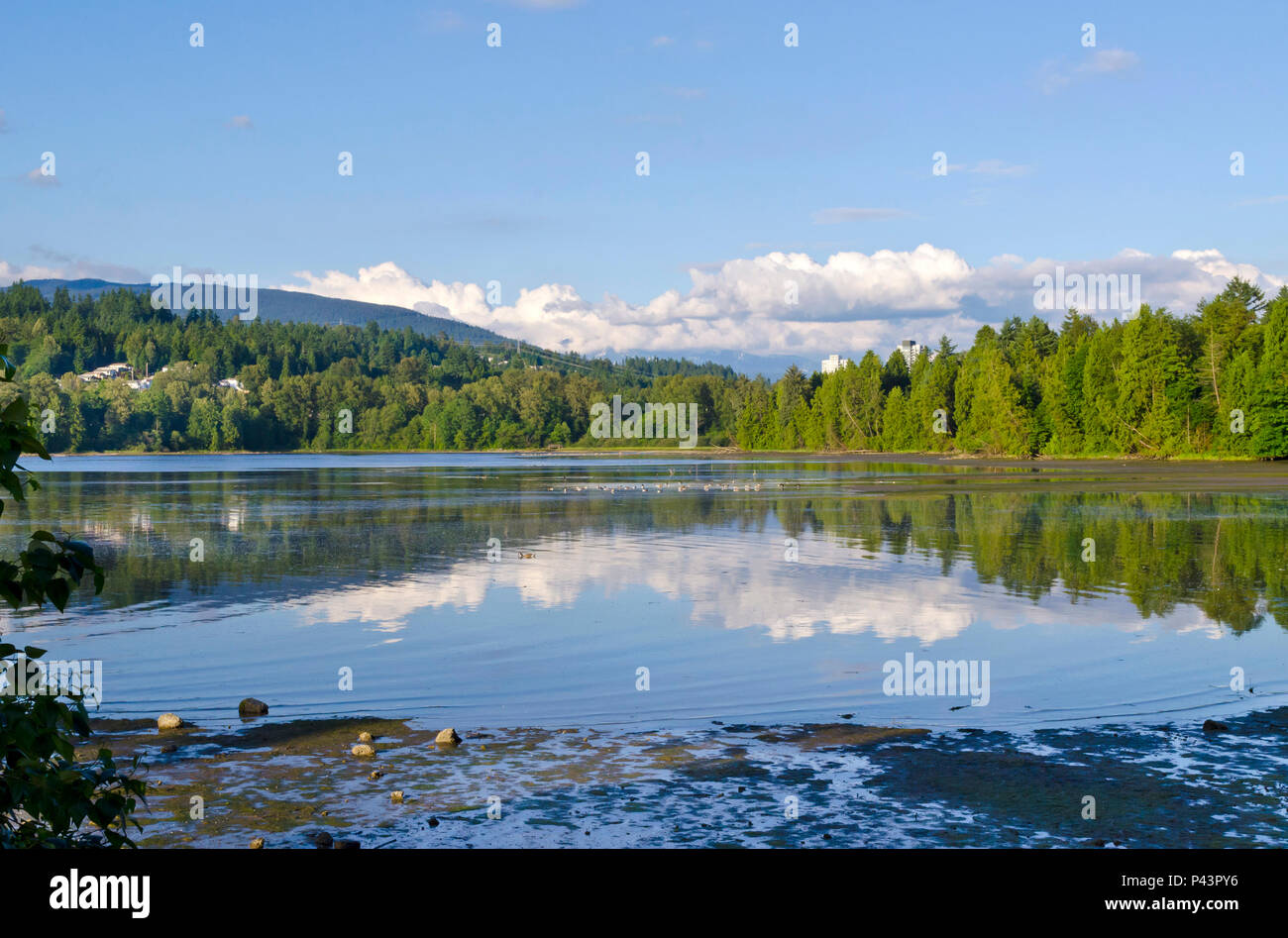 Burrard Inlet in Port Moody, BC, Canada, as viewed from Rocky Point Park.   Urban nature in Metro Vancouver suburb. Stock Photo