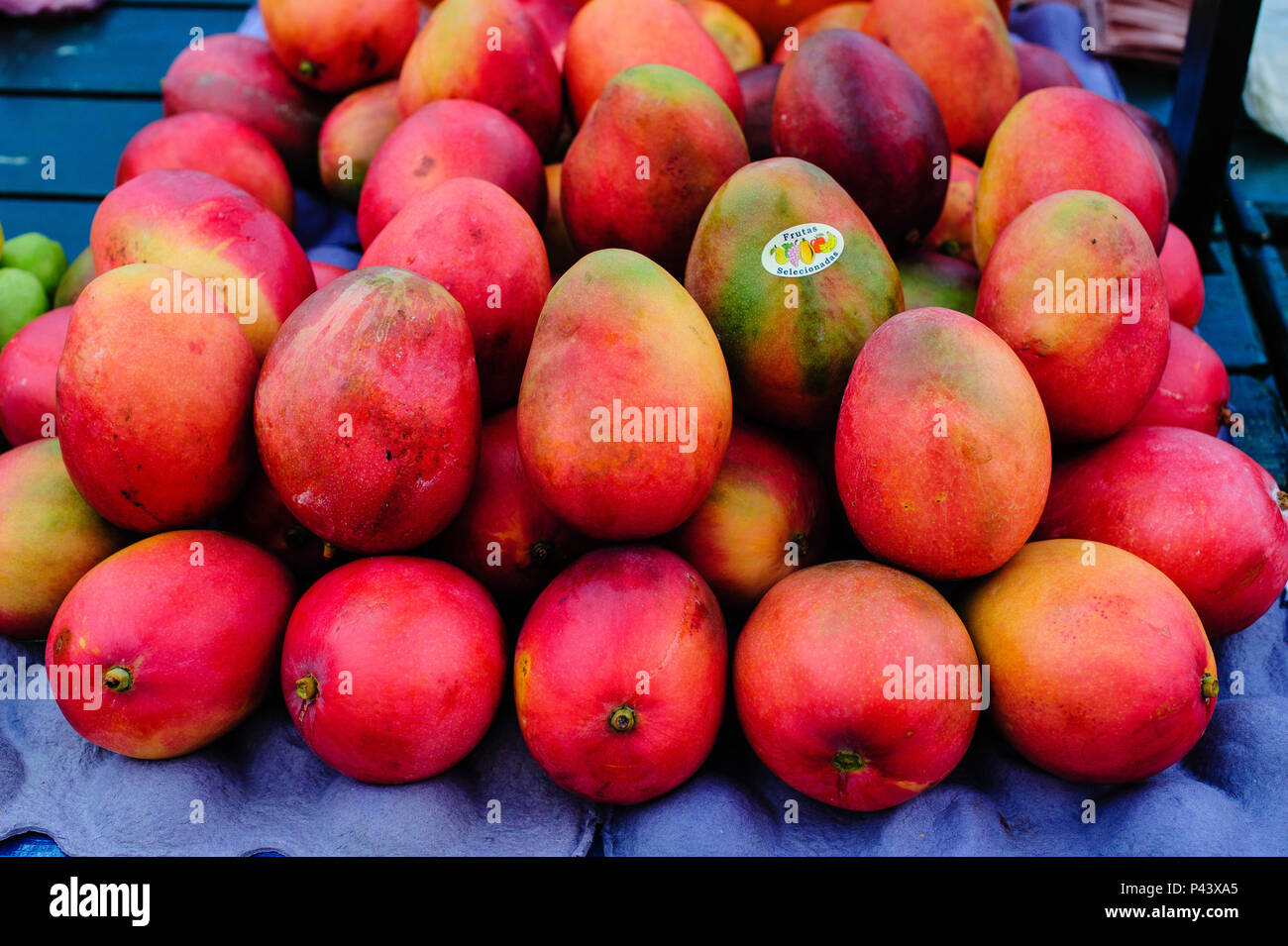 Mango - Frutas do Brasil