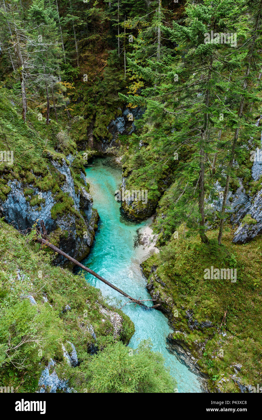 Leutaschklamm - wild gorge with river in the alps of Germany Stock Photo