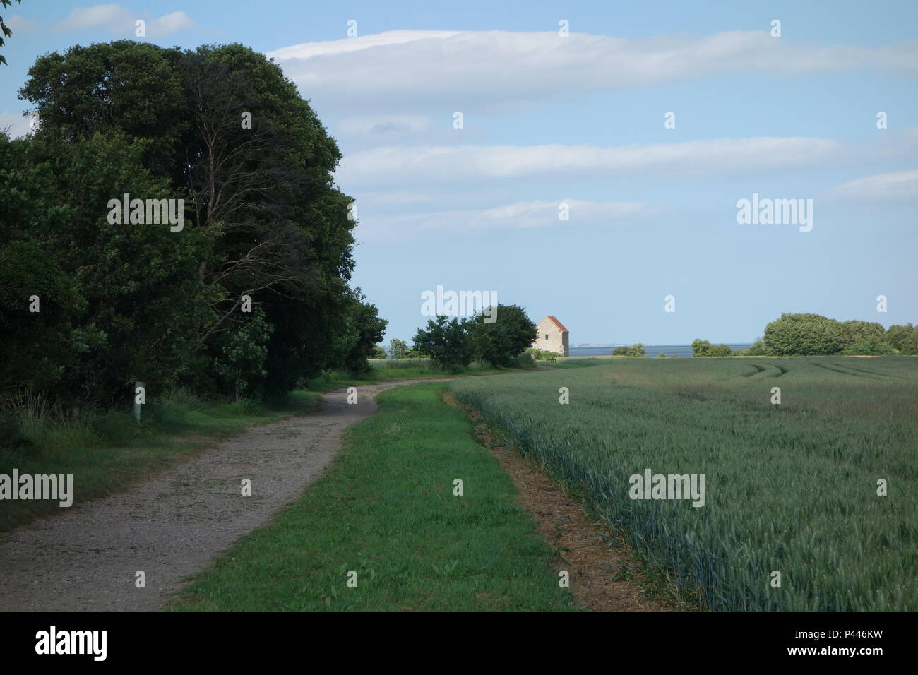 distant view of St Peters juxta mare, Bradwell Essex, 7th century church using Roman fabric from Othona fort below it Stock Photo